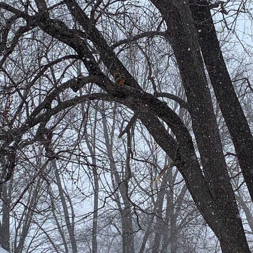 Meet your Posher, Cole